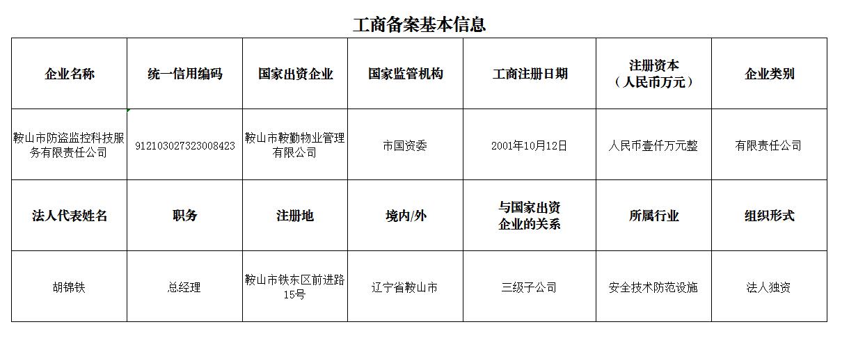 鞍山市防盗监控科技服务有限责任公司